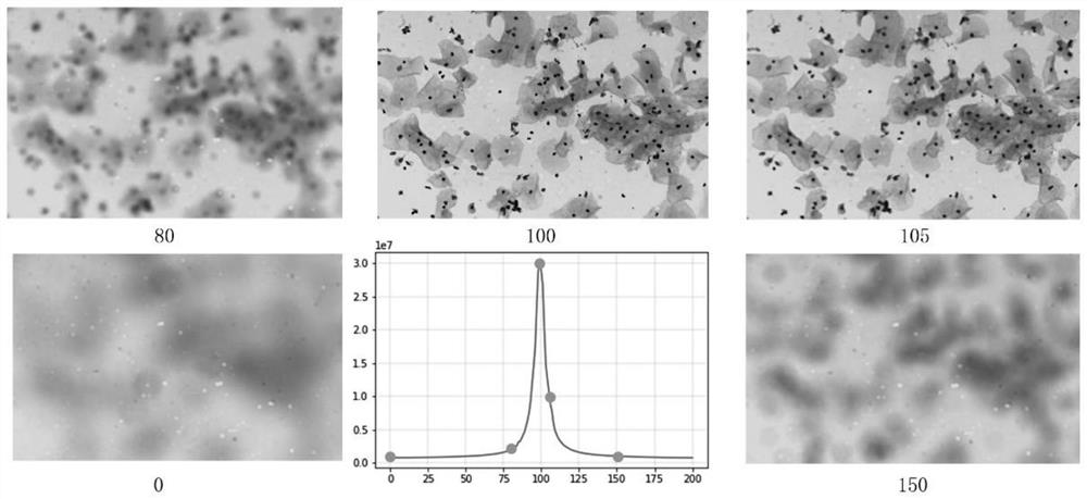 A Machine Learning-Based Automatic Focusing Method for Optical Microscope