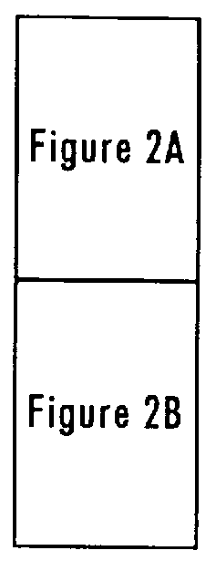 Apparatus and method for designing a test and modeling system for a network switch device