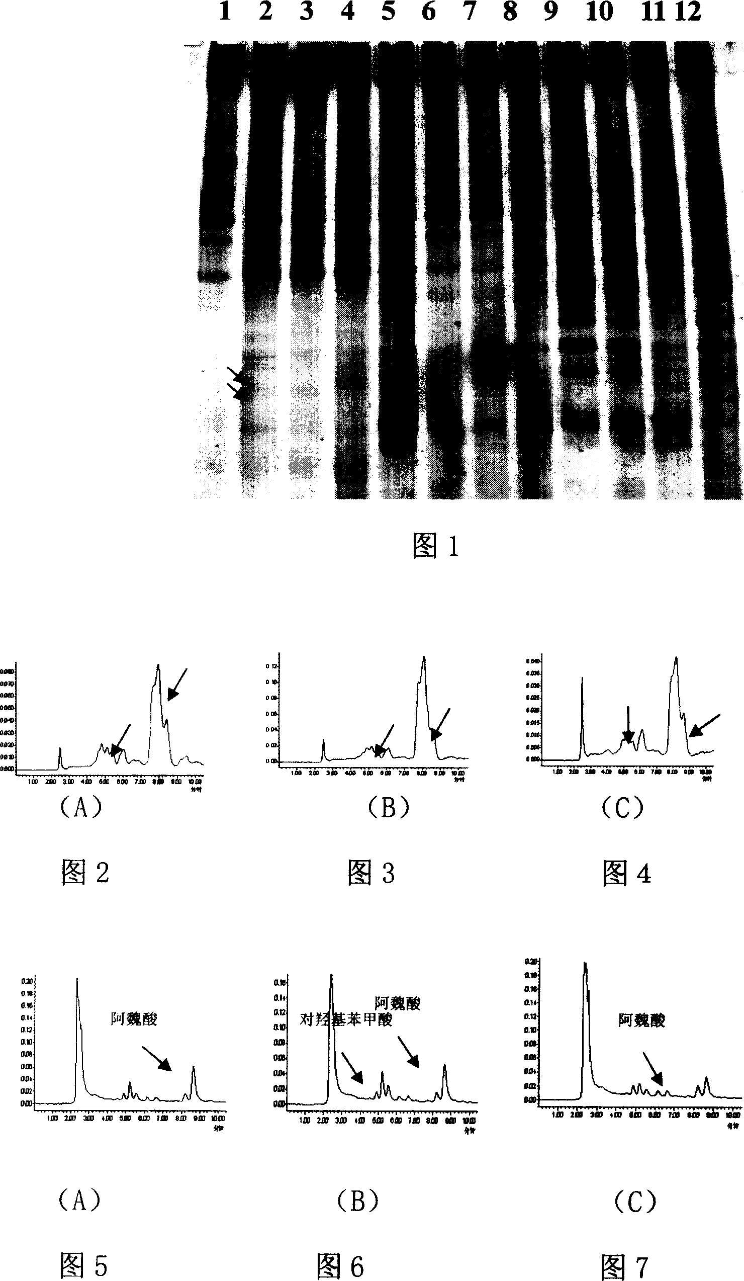 Application of whiterof fungus prepn in improving the continuous cropping performance of soil