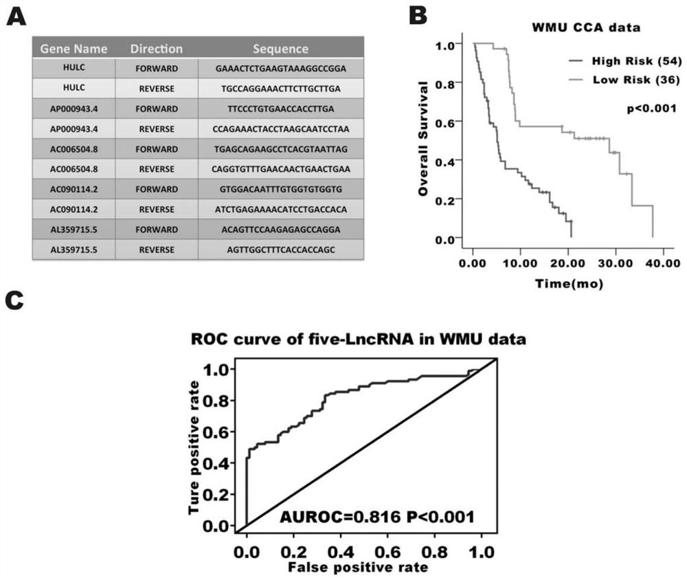 Biliary duct cancer prognosis determination marker, detection primer, kit and application