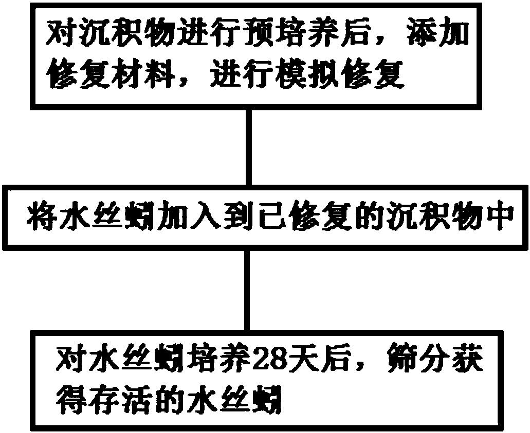 Method for evaluating restoration effect of polluted sediment used for limnodrilus hoffmeisteri