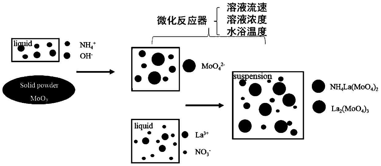 A kind of nanoscale rare earth oxide doped powder and its preparation method