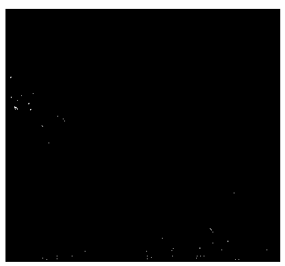 Organic modified granular bentonite/attapulgite absorbent and preparation method thereof