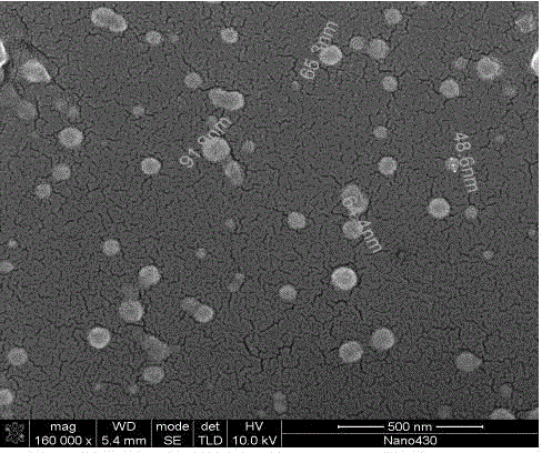 Method for preparing glycan-negative ion polysaccharide compound nanoparticles from micro-emulsions