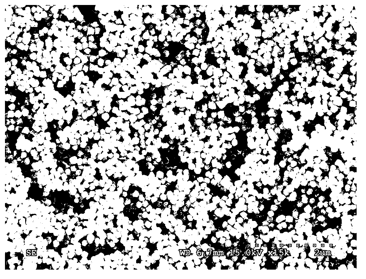 Manganese cobalt composite oxide (MnCo2O4) magnetic nanocrystal and preparation method thereof