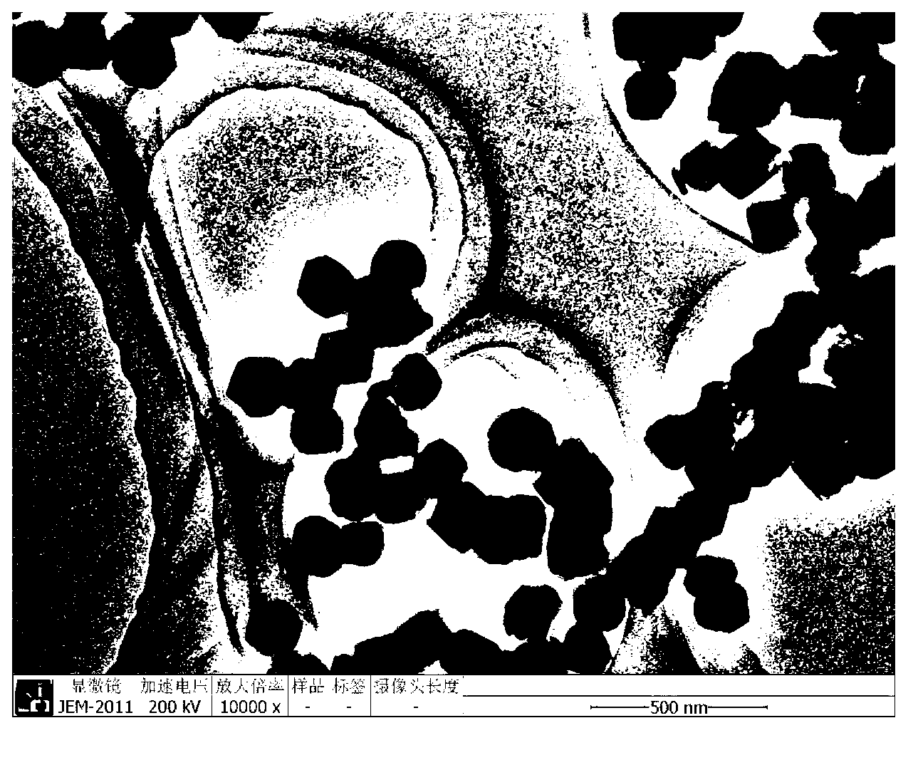 Manganese cobalt composite oxide (MnCo2O4) magnetic nanocrystal and preparation method thereof