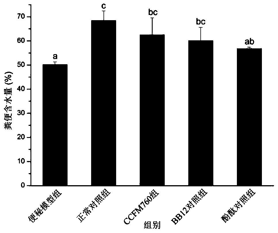 A strain of Bifidobacterium longum and its application
