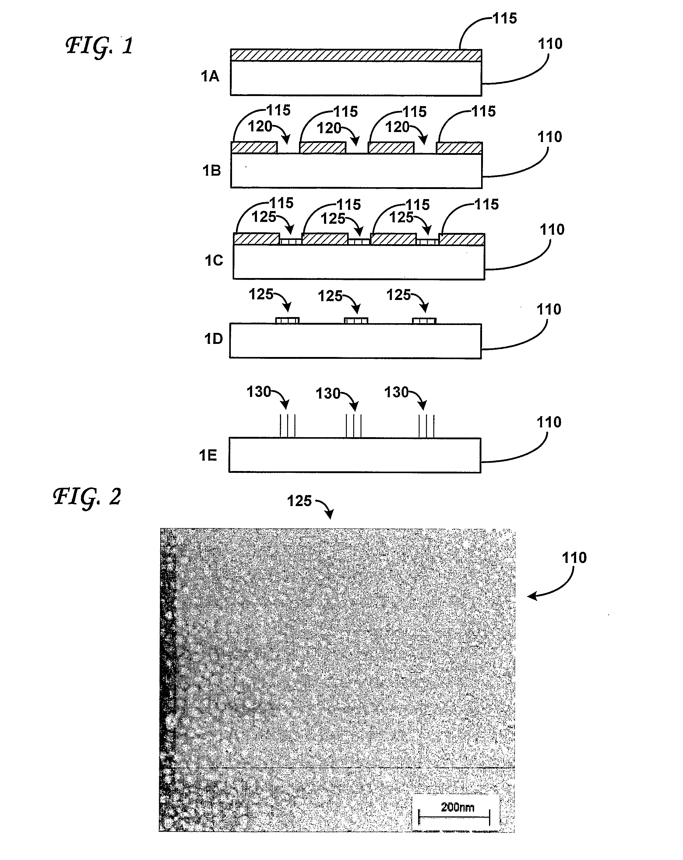 Aligned Carbon Nanotubes And Method For Construction Thereof