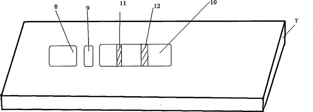 Test paper card for testing Brucella antibody through sandwich method