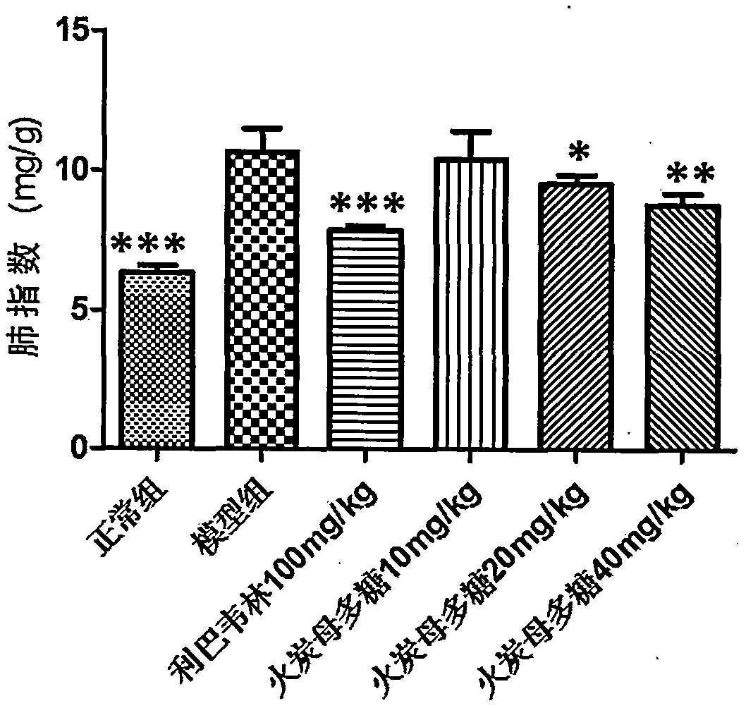 Application of polygonum sinense polysaccharide to preparation of drugs for preventing and treating viral pneumonia