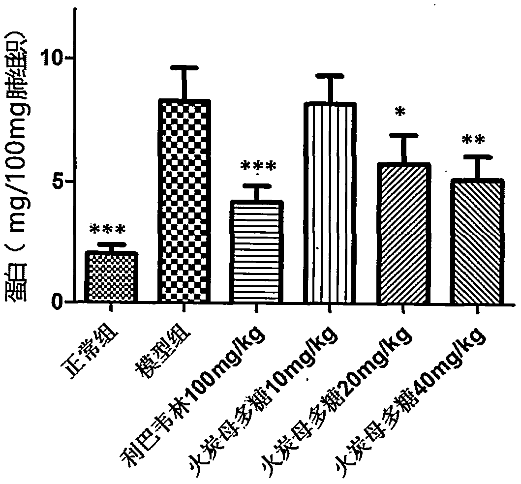 Application of polygonum sinense polysaccharide to preparation of drugs for preventing and treating viral pneumonia