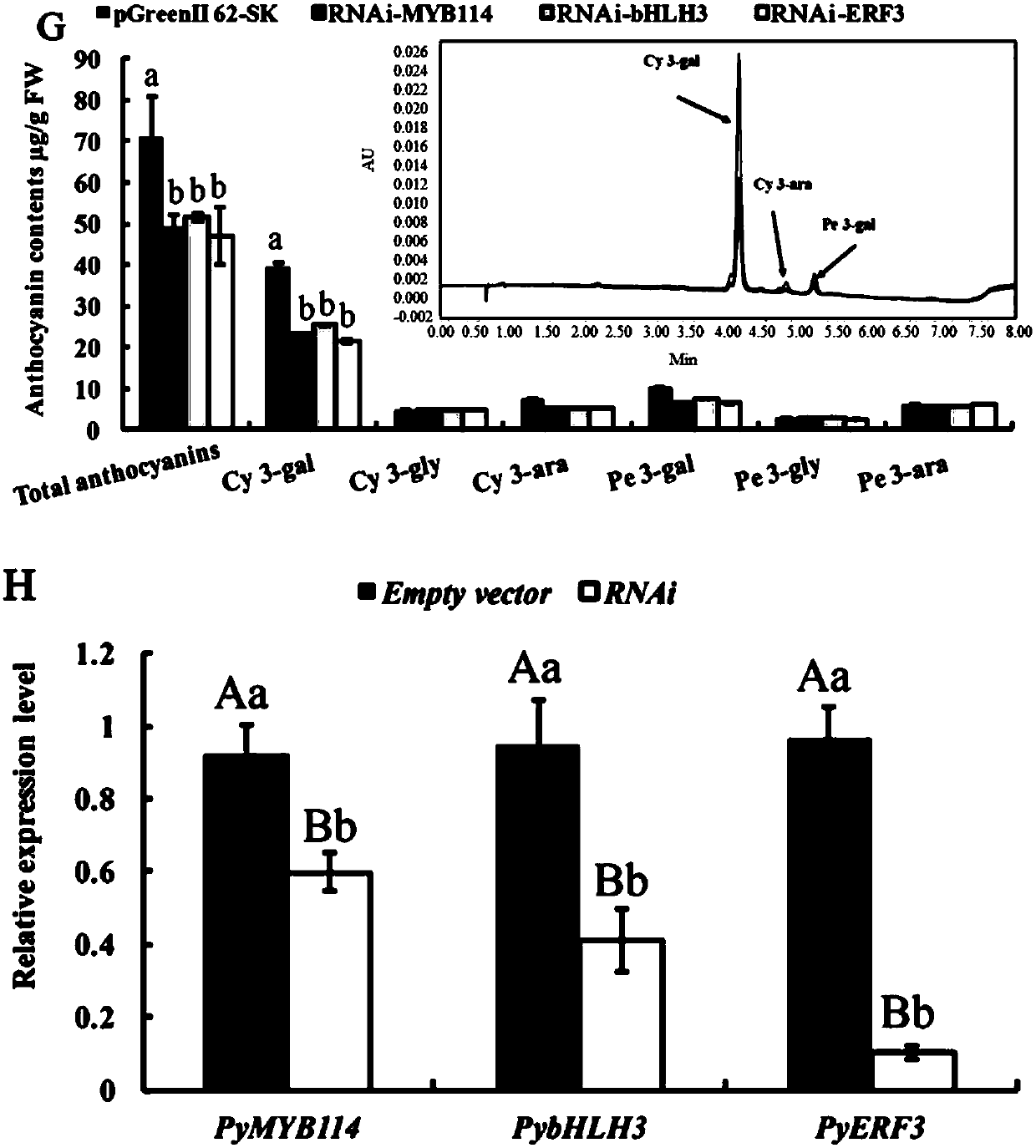 Pyrus transcription factor PyERF3 as well as recombinant expression vector and application thereof