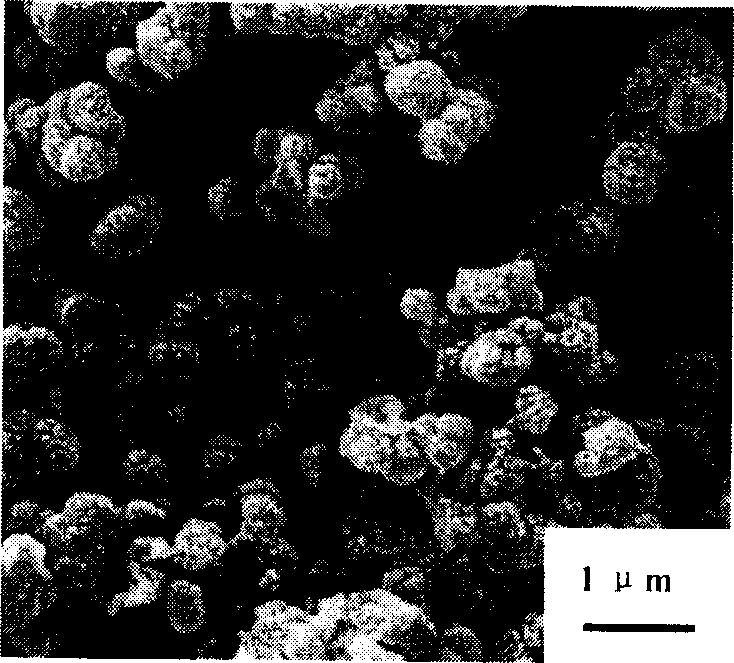 Biological activity glass ceramics capable of cutting and its preparation method