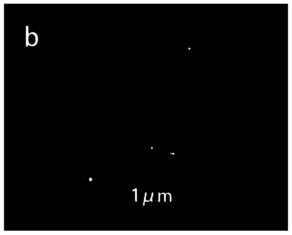 Modified lithium nickel manganese oxide positive electrode composite material and preparation method, lithium ion battery