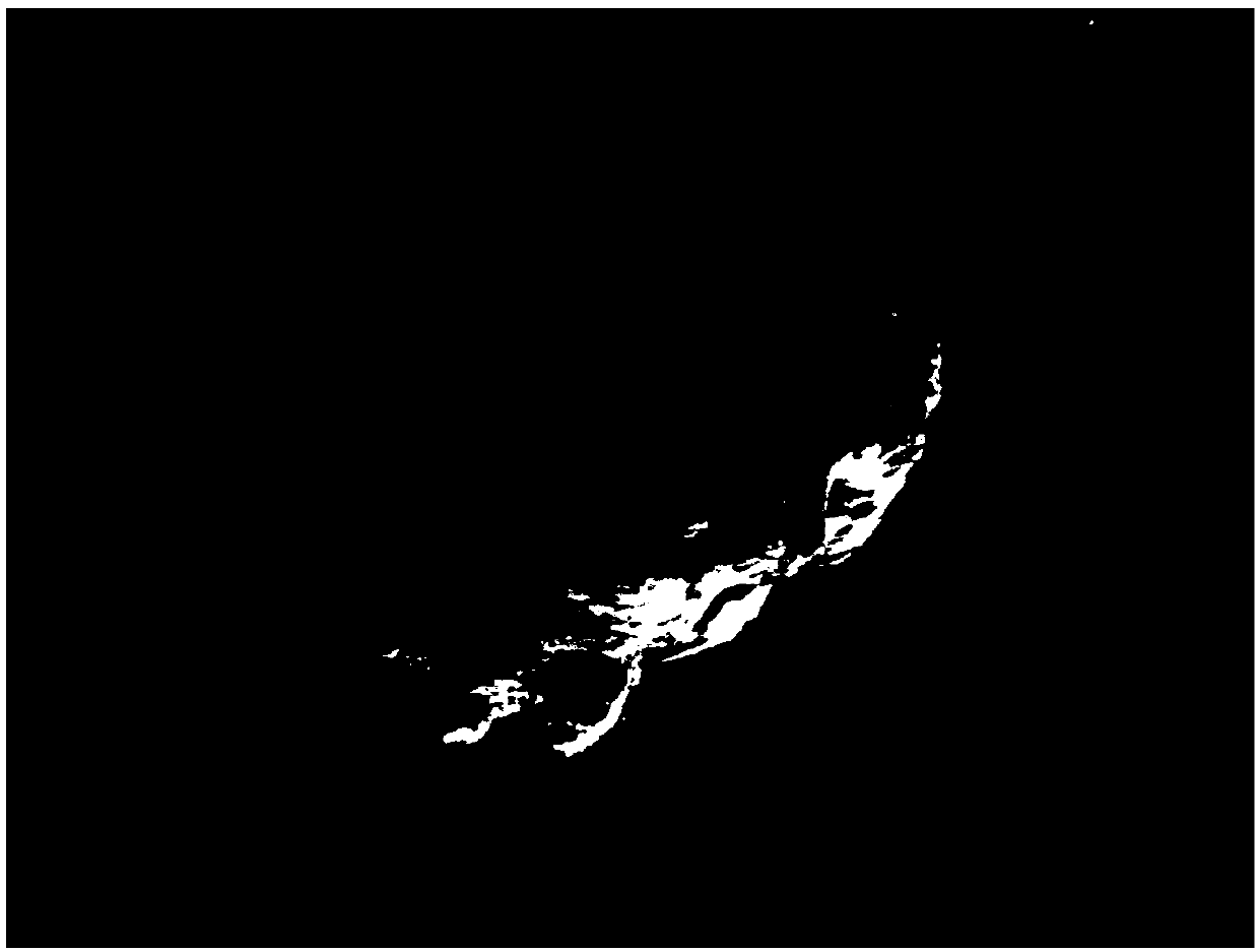 Method for greatly improving quality of scanning electron microscope sample of salivary sheath of rice planthopper