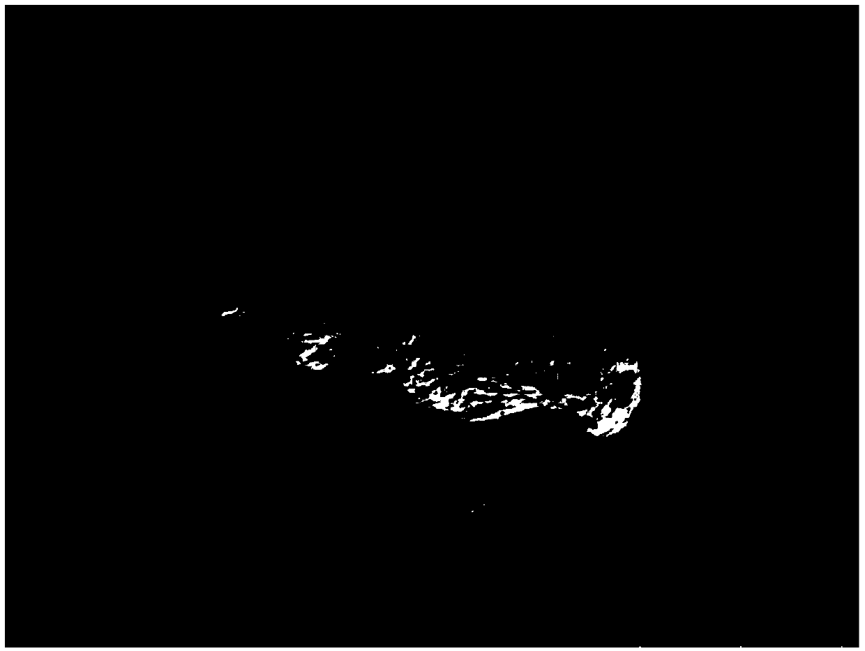 Method for greatly improving quality of scanning electron microscope sample of salivary sheath of rice planthopper