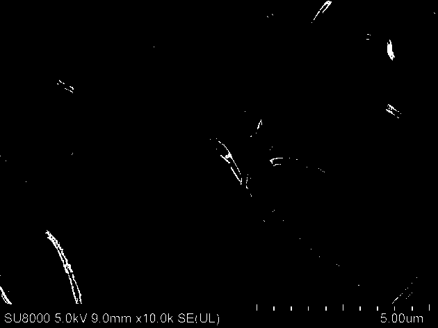 Preparation method of coal-based carbon fiber loaded palladium catalyst