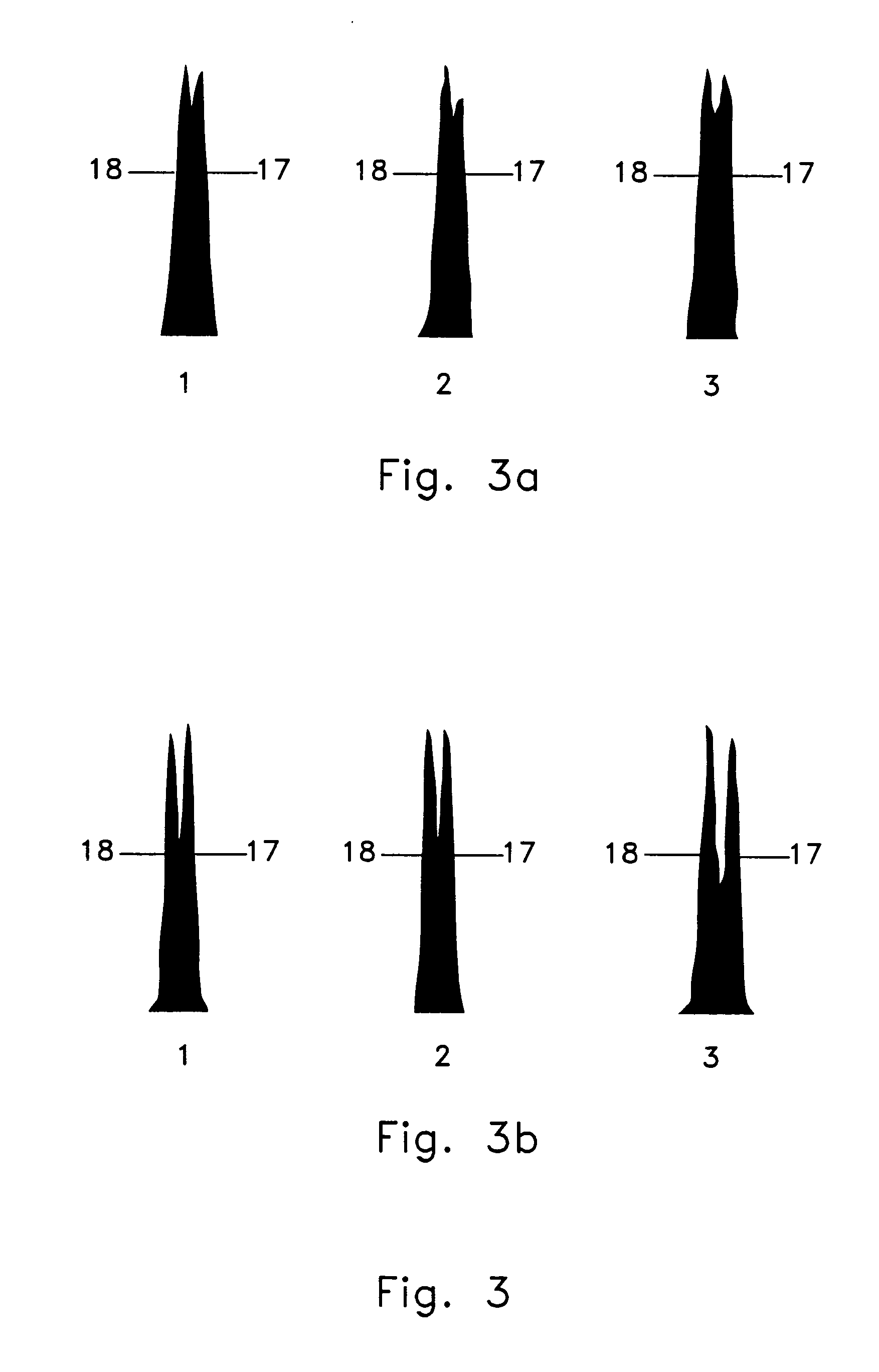 High purity x-chromosome bearing and y-chromosome bearing populations of spermatozoa