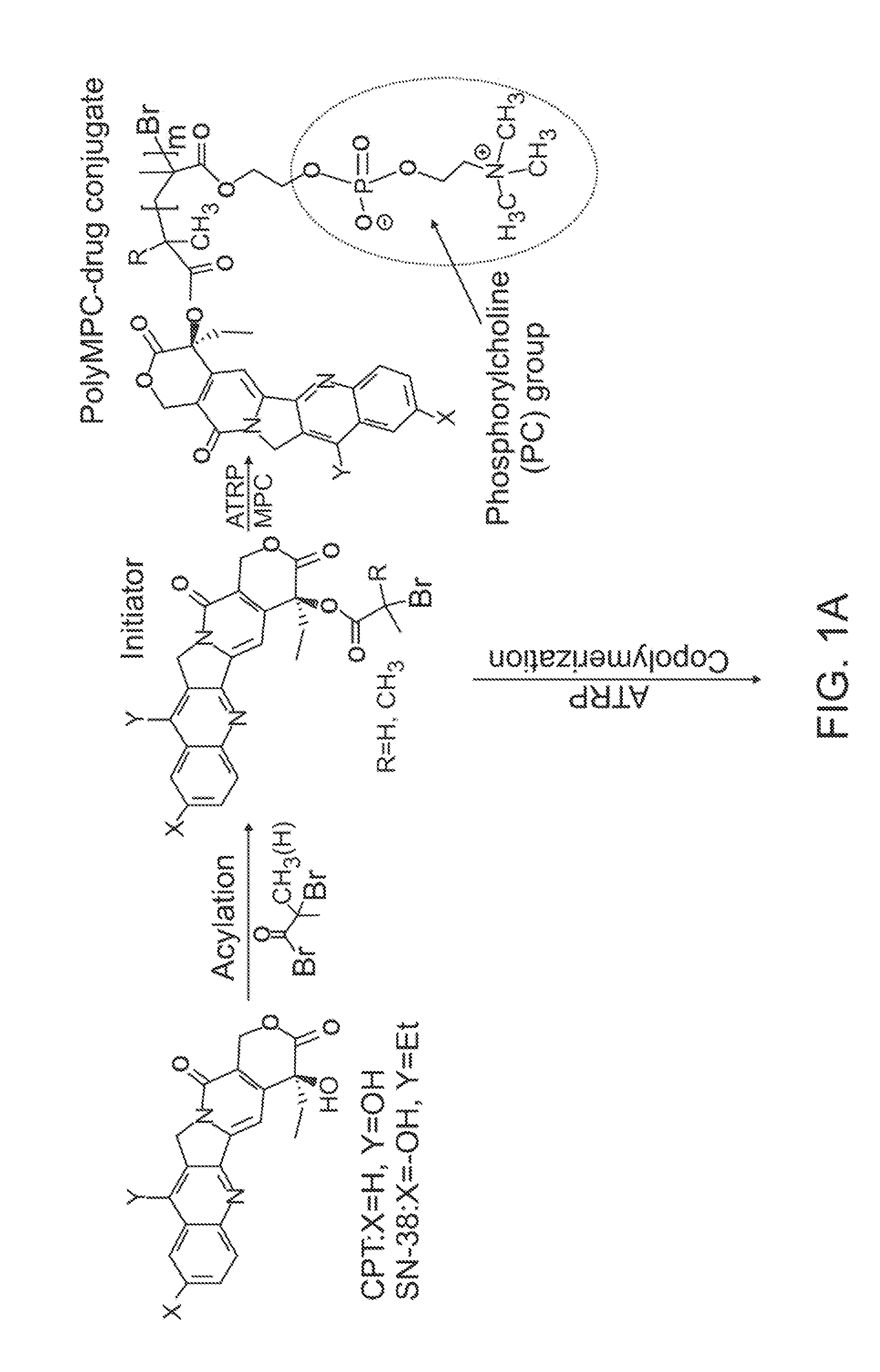 Zwitterionic polymers with therapeutic moieties