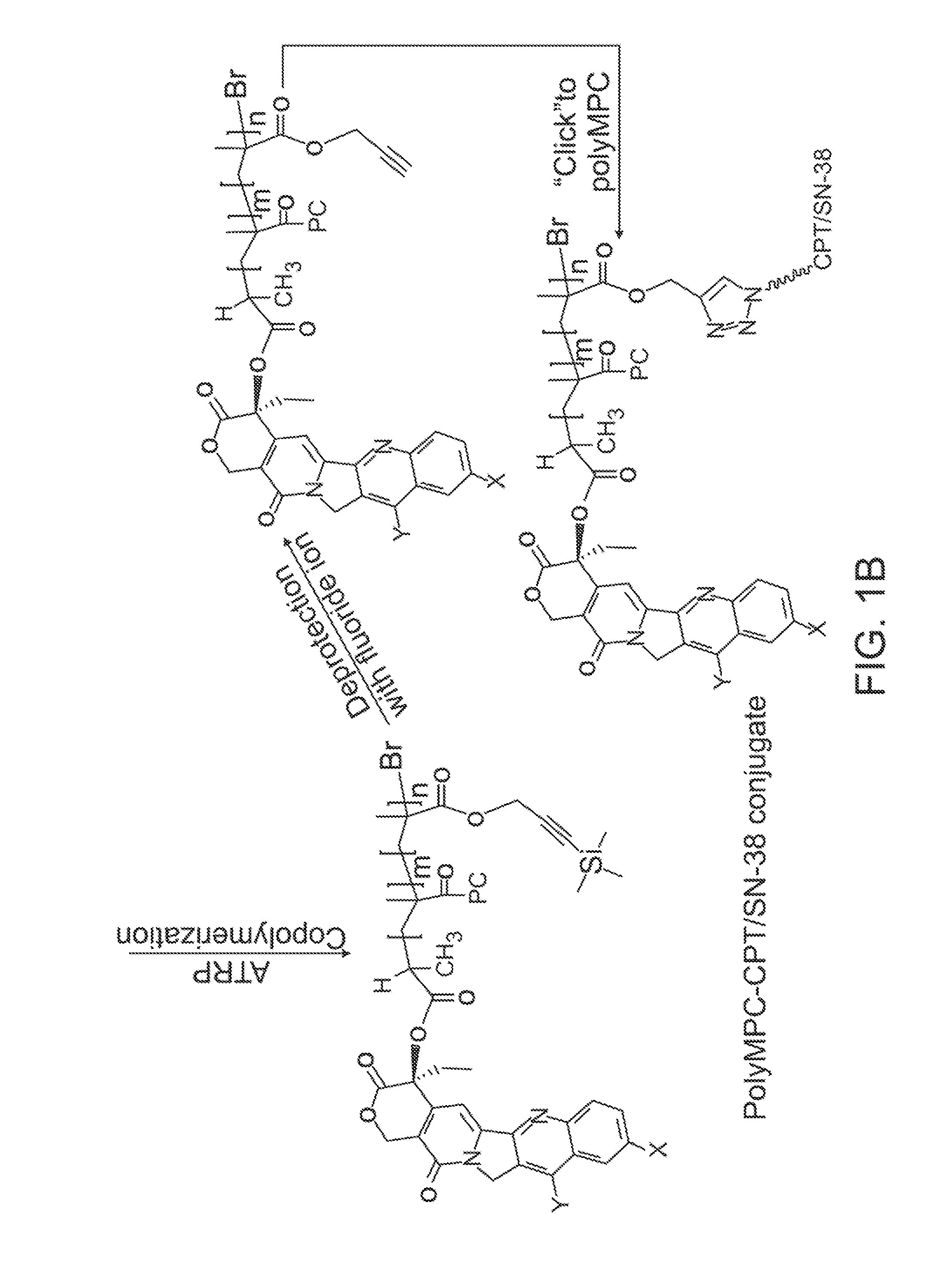 Zwitterionic polymers with therapeutic moieties