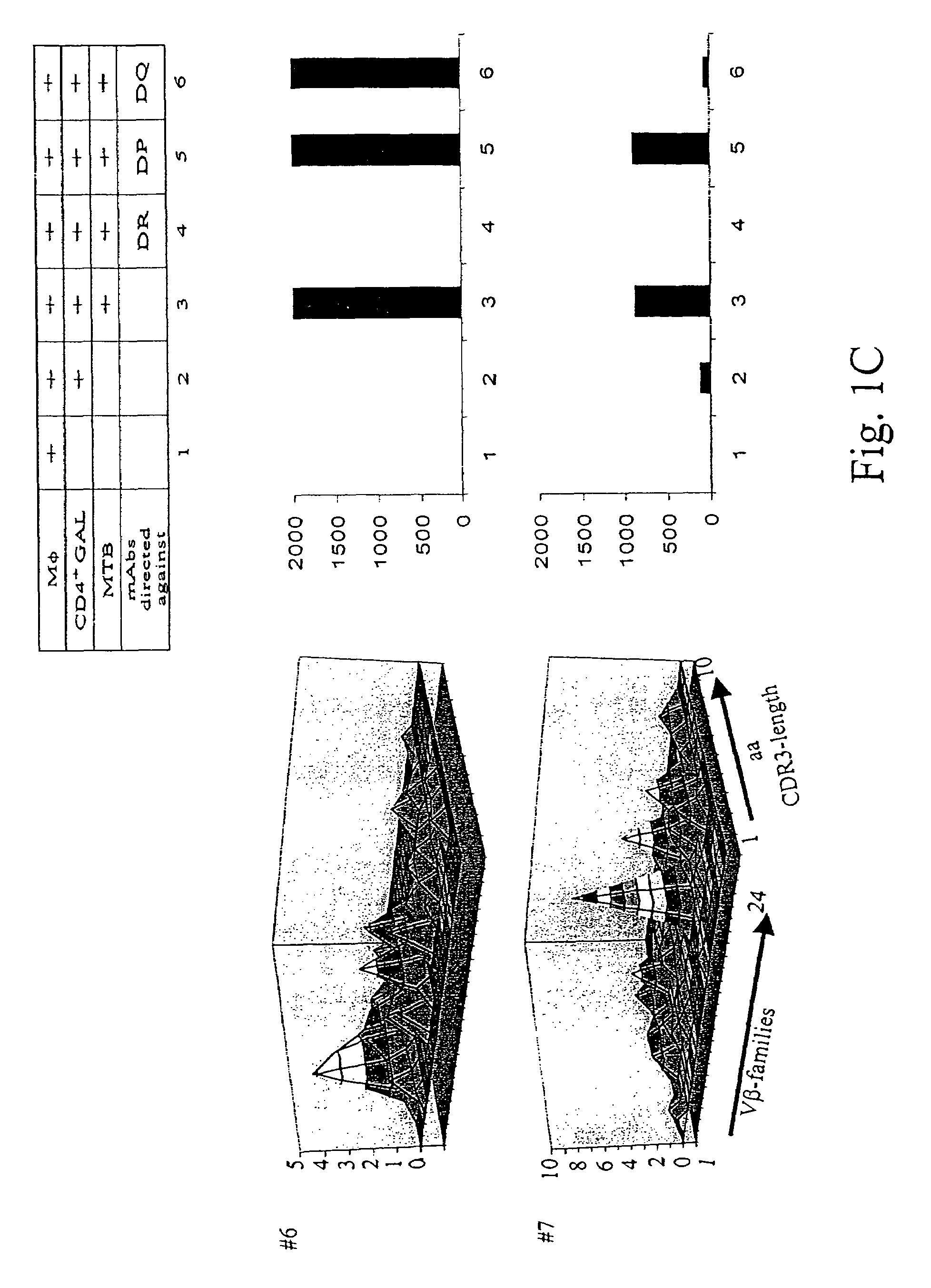 Mycobacterium tuberculosis epitopes and methods of use thereof