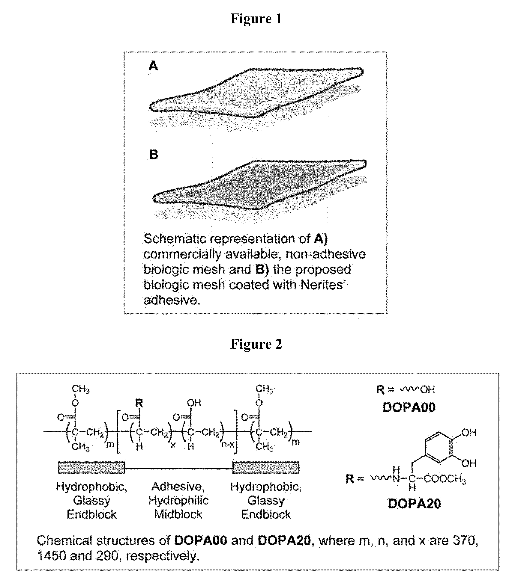 Bioadhesive constructs