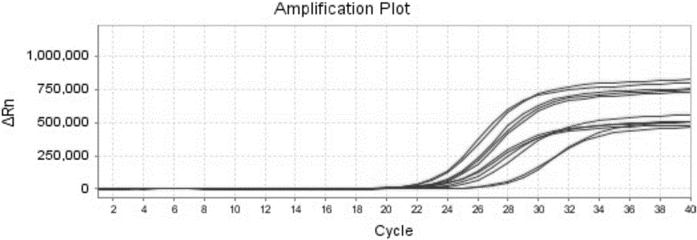 Magnetic bead nucleic acid extraction method