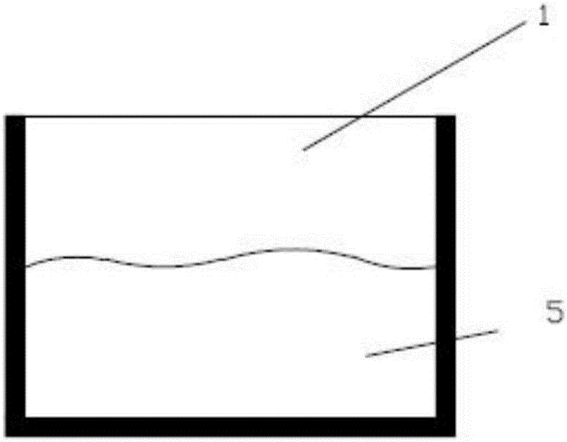 Method for manufacturing transparent rock model structure face test piece