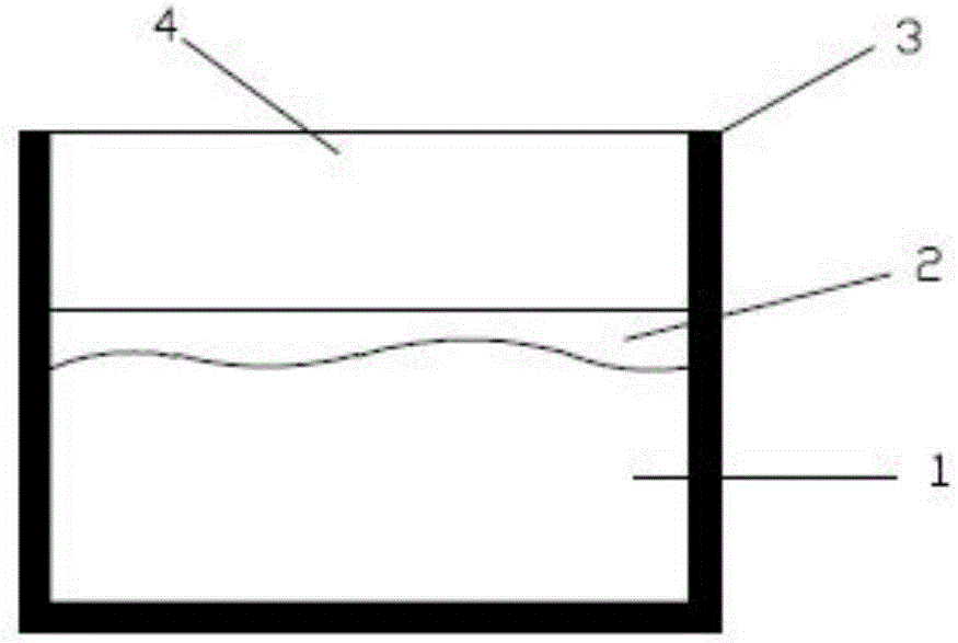 Method for manufacturing transparent rock model structure face test piece