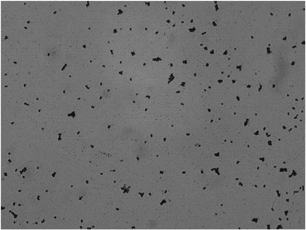 Pediococcus acidilactici strain BCC-1 capable of efficiently utilizing xylooligosaccharide and application thereof