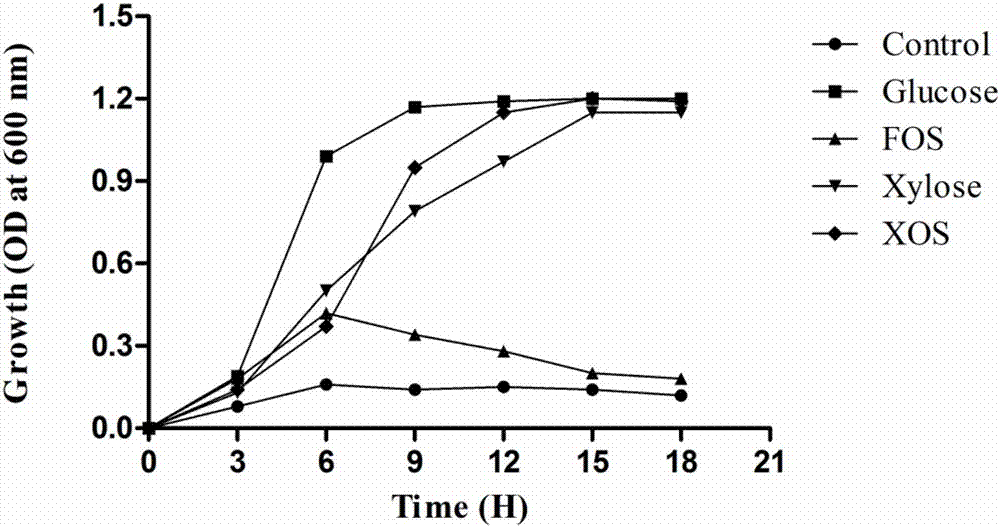 Pediococcus acidilactici strain BCC-1 capable of efficiently utilizing xylooligosaccharide and application thereof