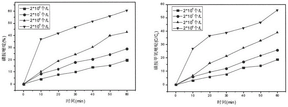 Method for photochemical degradation of sulfonamide in water by using freshwater algae