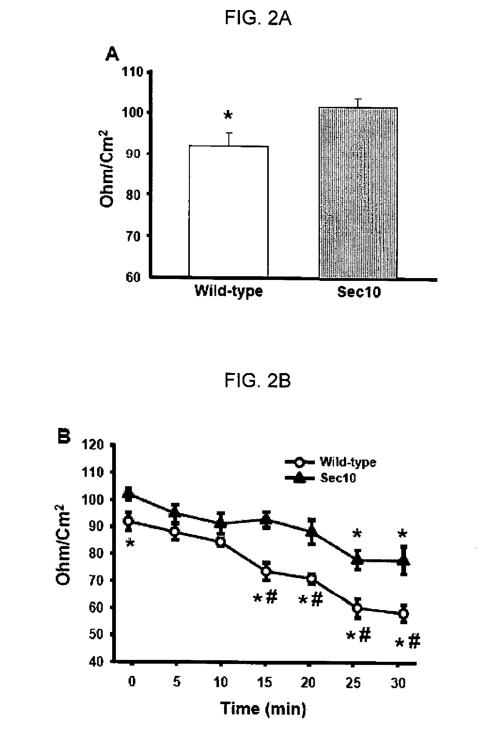 AAV Vectors Expressing SEC10 for Treating Kidney Damage