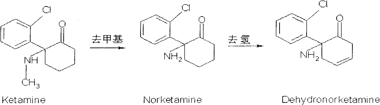 ELISA testing kit for detecting norketamine and preparation method thereof