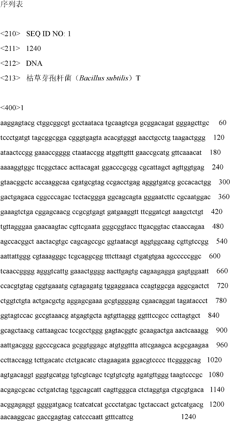 Bacillus subtilis and method for producing chymosin by using same