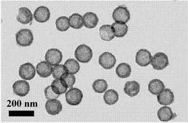 Preparation method and application of hollow SnO2@C nanosphere in lithium ion battery