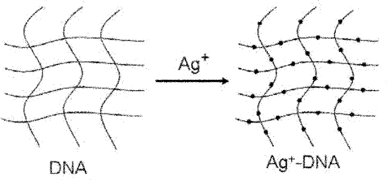 Light irradiation preparation method and use of ultra-sensitive surface enhanced Raman scattering active base