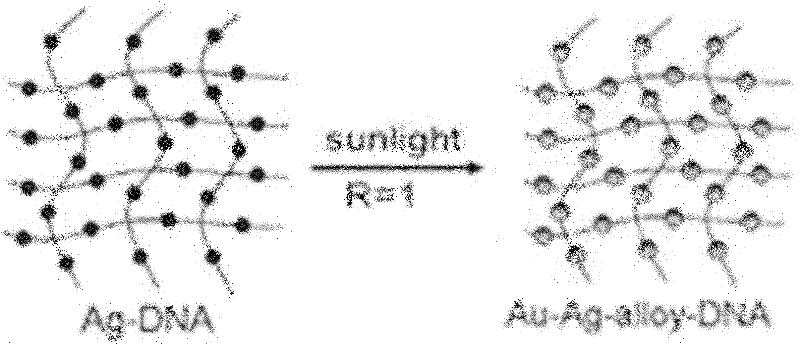 Light irradiation preparation method and use of ultra-sensitive surface enhanced Raman scattering active base