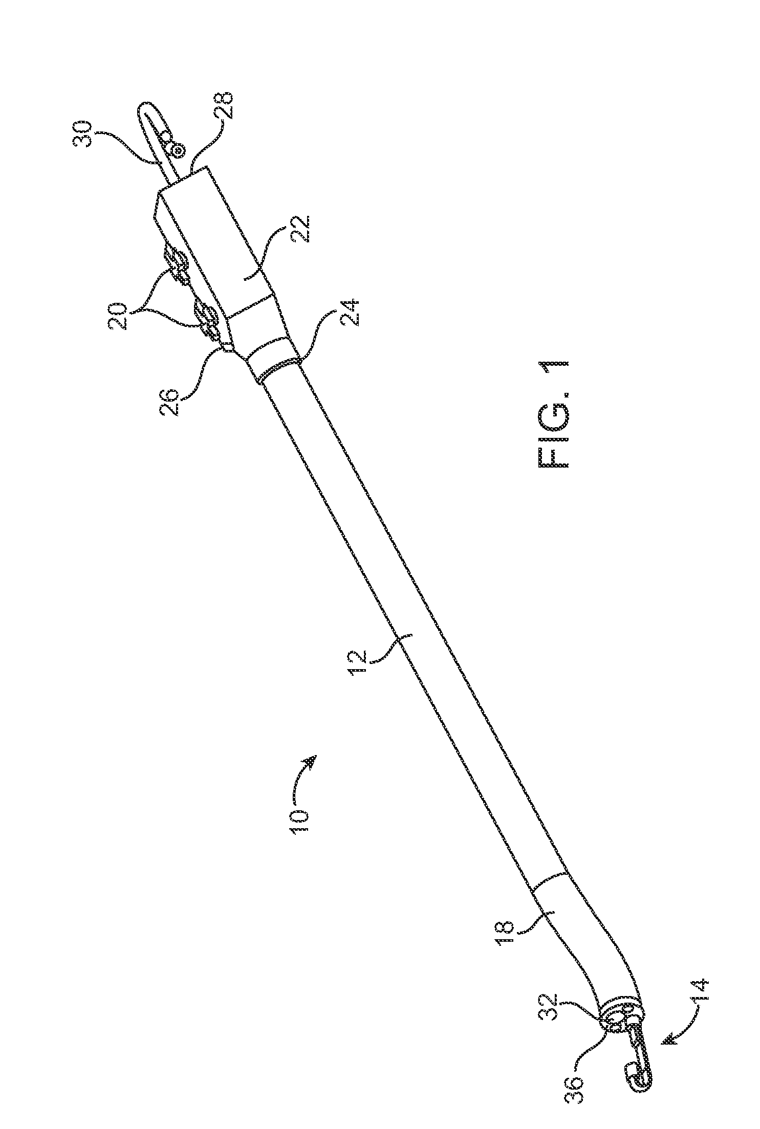 Endoscope assembly with a polarizing filter