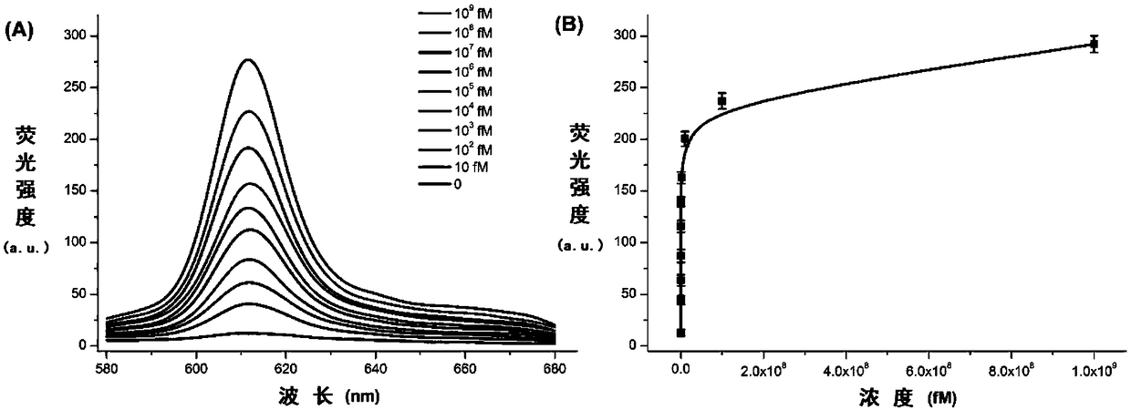 A label-free fluorescence detection method for Staphylococcus aureus mecA gene and detection kit thereof