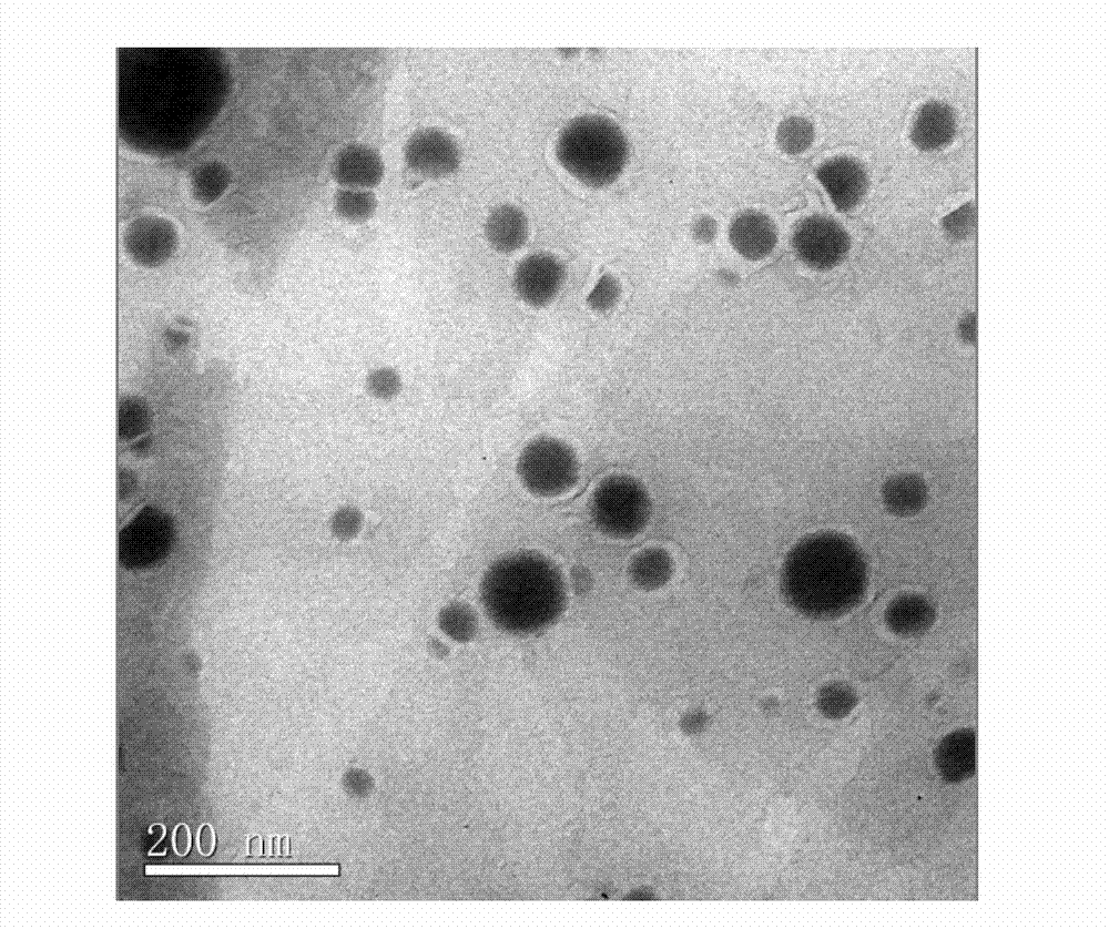 Traditional Chinese medicine multicomponent micro-emulsion composition having function of resisting lung cancer, preparation method and application thereof in preparation of orally-taking lung cancer resistant medicine