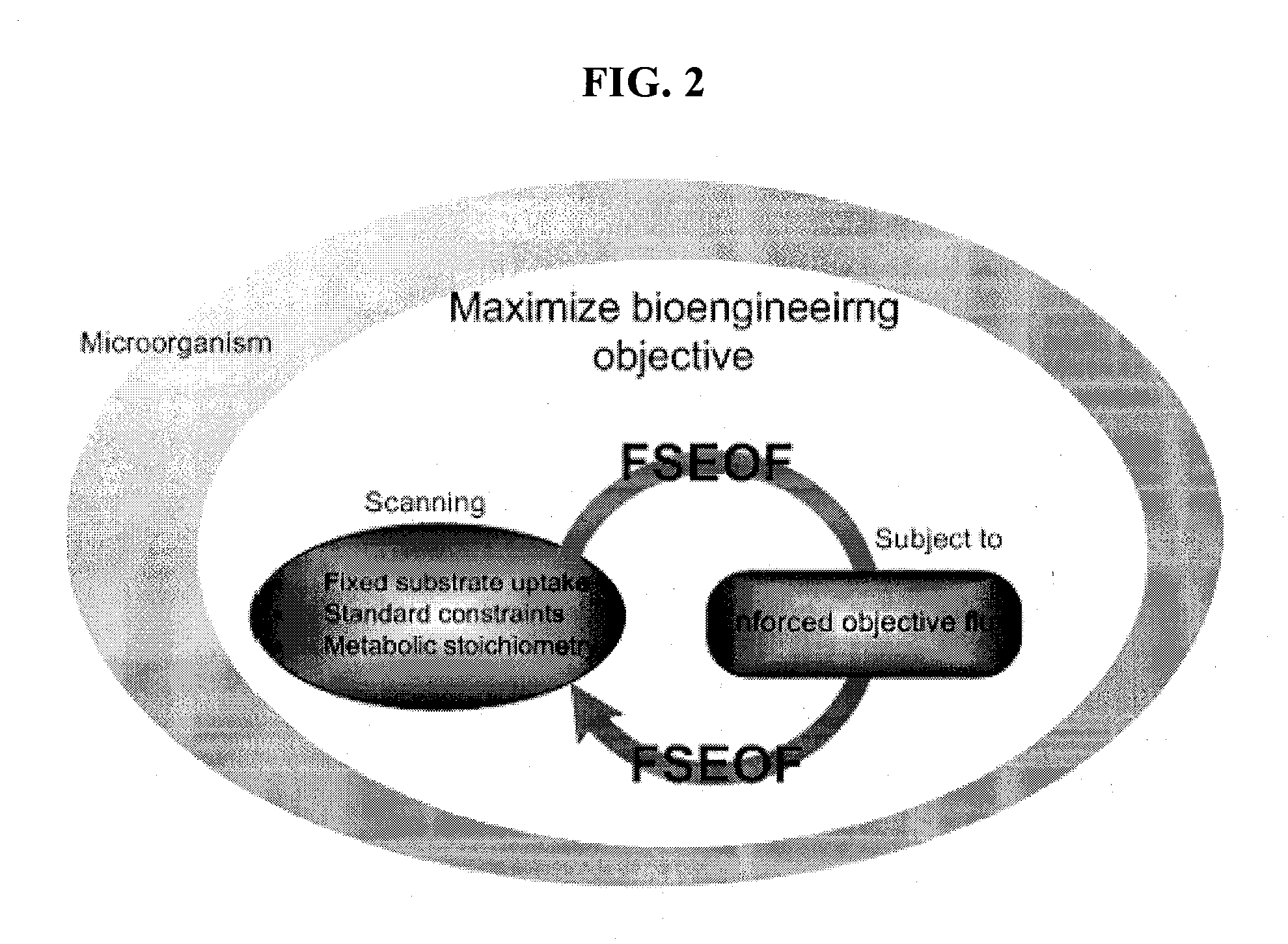 Method for Improving Organisms Using Flux Scanning Based on Enforced Objective Flux