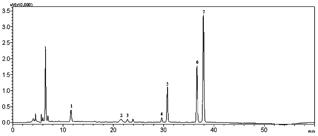 Xinjiang berberis heteropoda extract and preparation method and application thereof