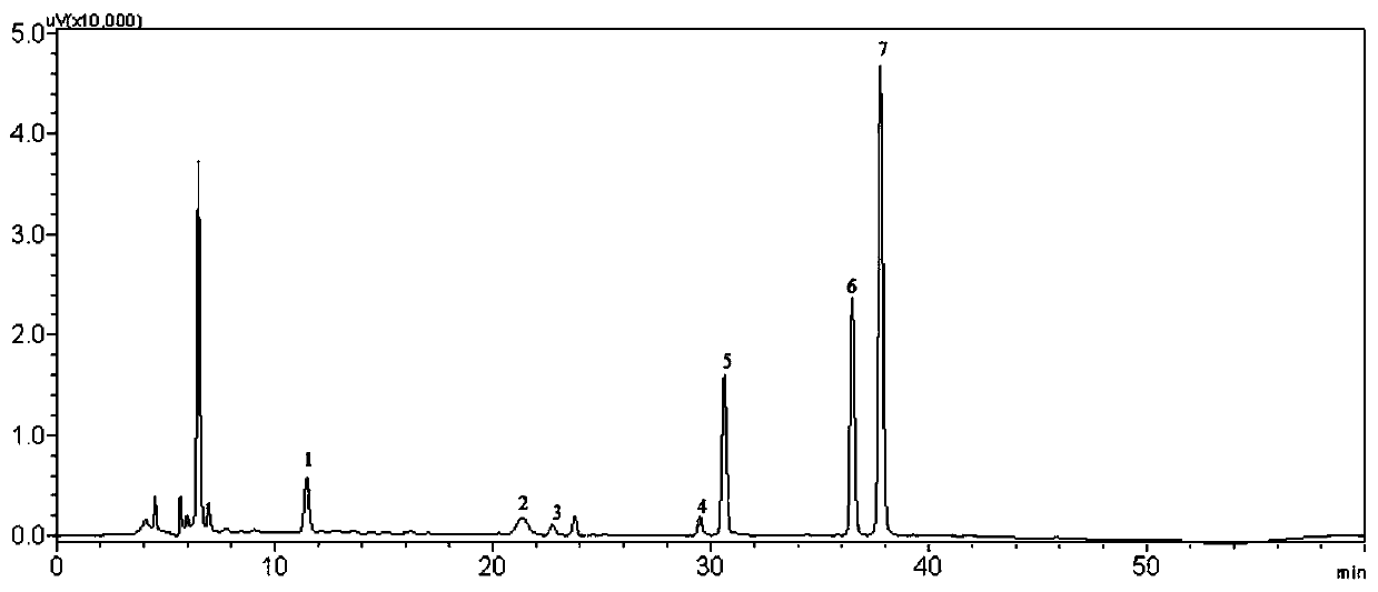 Xinjiang berberis heteropoda extract and preparation method and application thereof