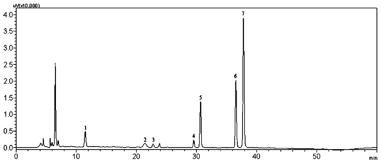 Xinjiang berberis heteropoda extract and preparation method and application thereof