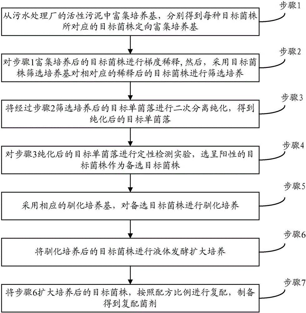 Compound bacterial agent for purifying black and odorous water body and preparation method thereof