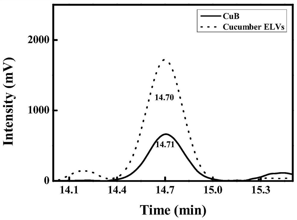 Cucumber exosome-like vesicles containing cucurbitacin B and capable of being used as anti-cancer drugs