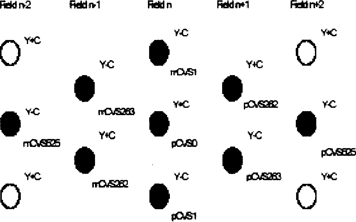 High-definition super processor and method therefor