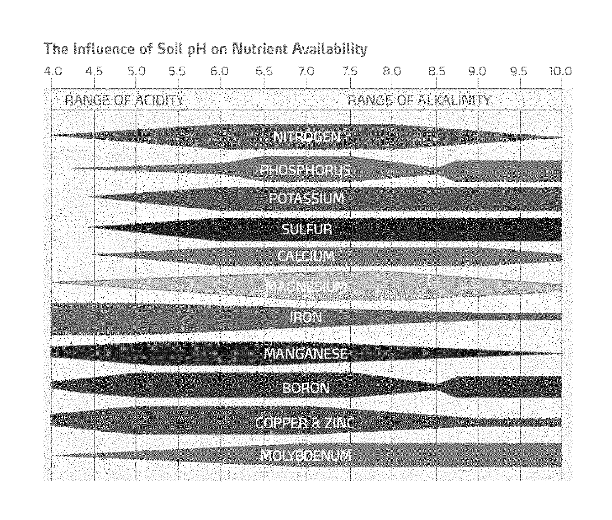 Multifunctional organic agricultural fertilizer composition and process for preparation thereof