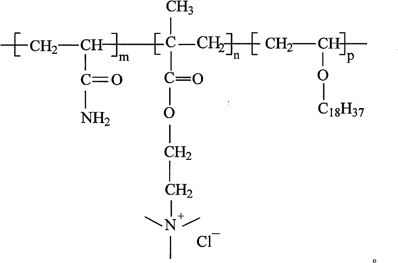 Hydrophobic cation polymeric flocculant preparation method